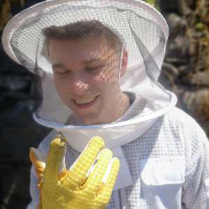 madeira beekeeping tour