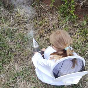 madeira beekeeping tour