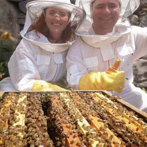madeira beekeeping tour