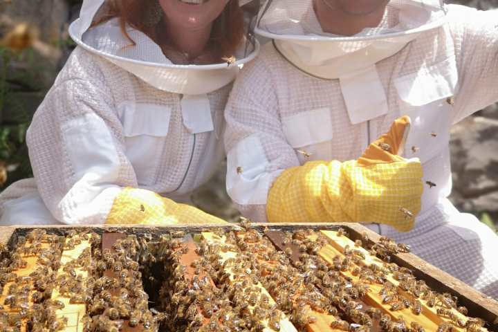 madeira beekeeping tour