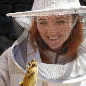 madeira beekeeping tour