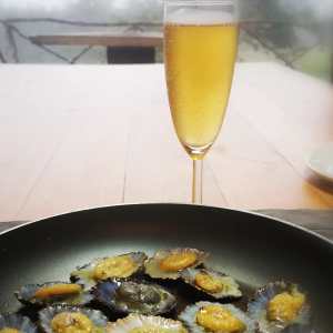 madeira beekeeping tour