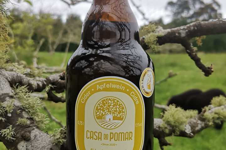 madeira beekeeping tour