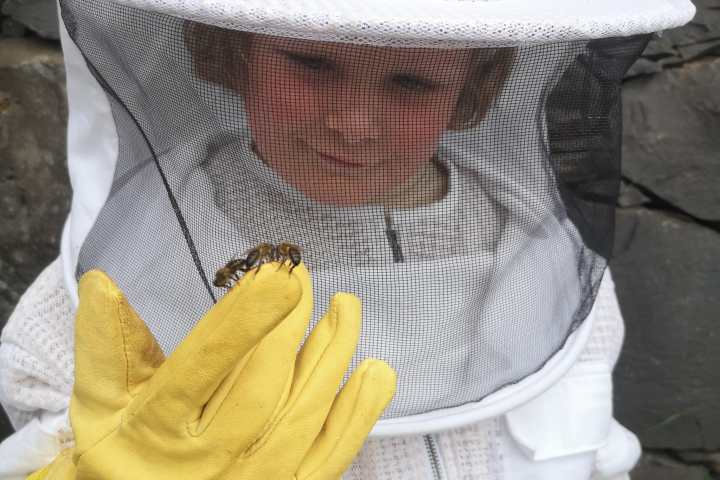 madeira beekeeping tour