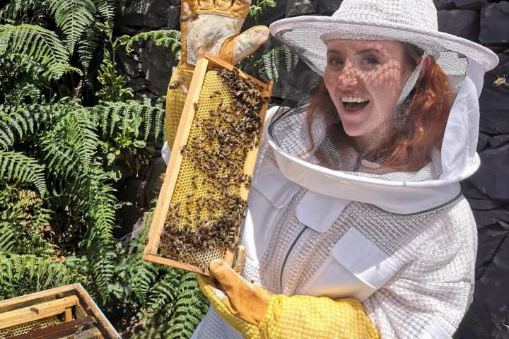 madeira beekeeping tour