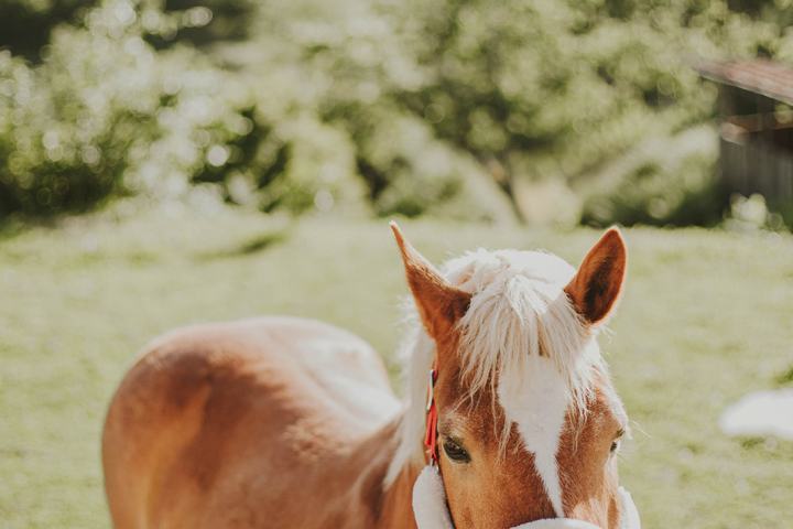 organic farm in porto