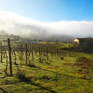 organic farm in porto