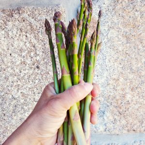 organic farm in porto