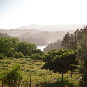 organic farm in porto