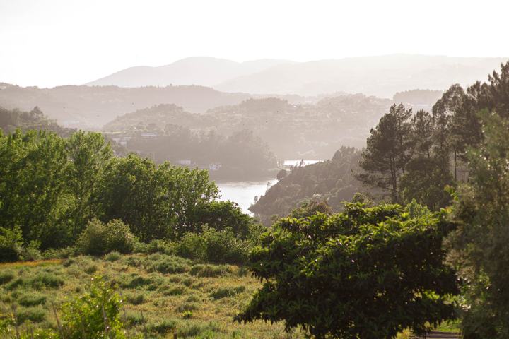 organic farm in porto