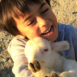 organic farm in porto