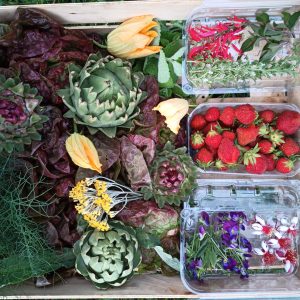 organic farm in porto