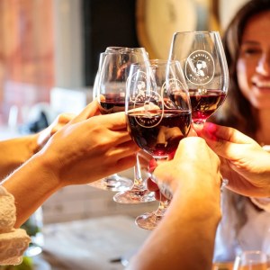 Group of people toasting with wine glasses indoors.