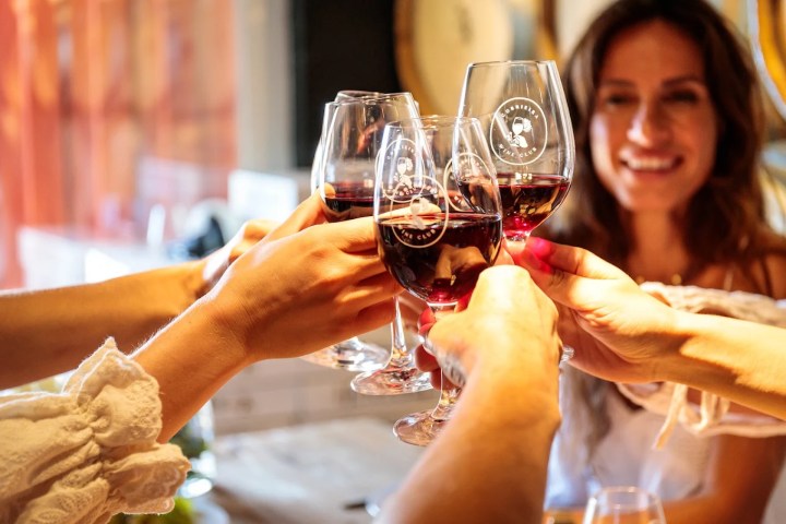 Group of people toasting with wine glasses indoors.