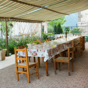 farm to table in lisbon