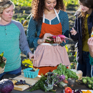 farm to table in lisbon