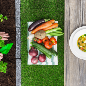 a bunch of food sitting on top of a wooden table