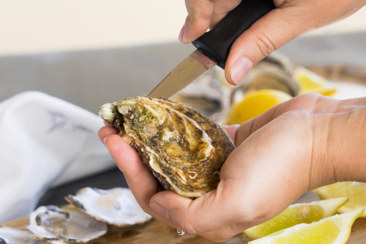 Oysters Tasting & Bubbles Tour