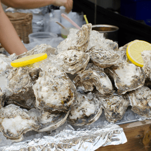 Oysters Tasting & Bubbles Tour