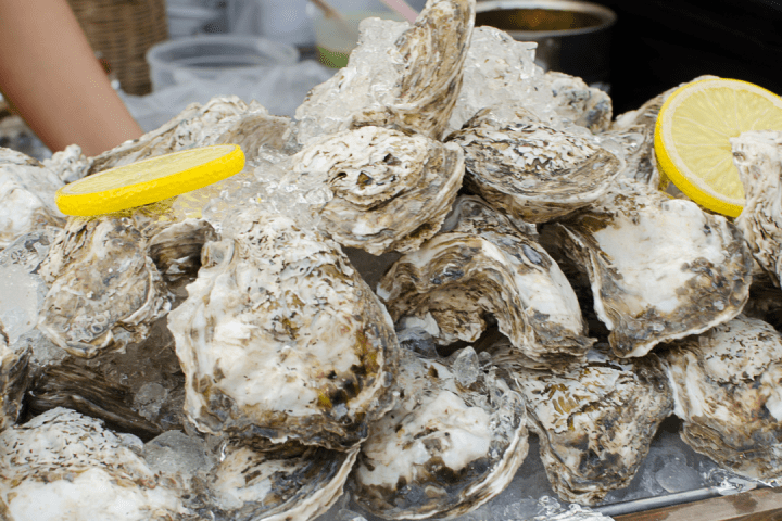 Oysters Tasting & Bubbles Tour