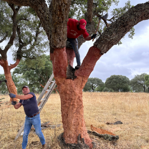 cork farm tour portugal
