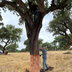 cork farm tour portugal
