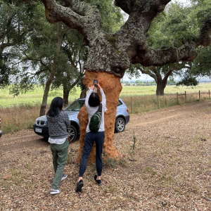 cork farm tour portugal