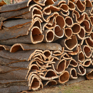 Portugal cork farm tour