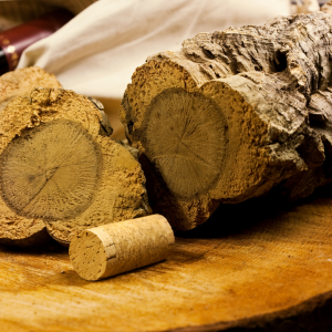 Portugal cork farm tour