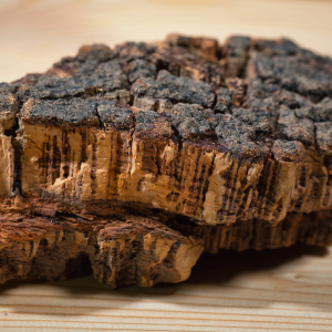 Portugal cork farm tour