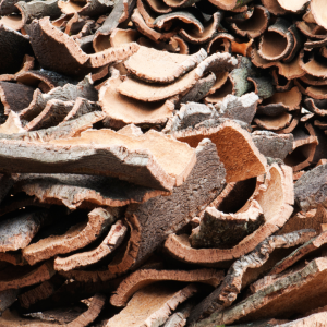 Portugal cork farm tour