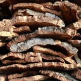 Portugal cork farm tour