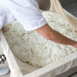 goat cheese making tour