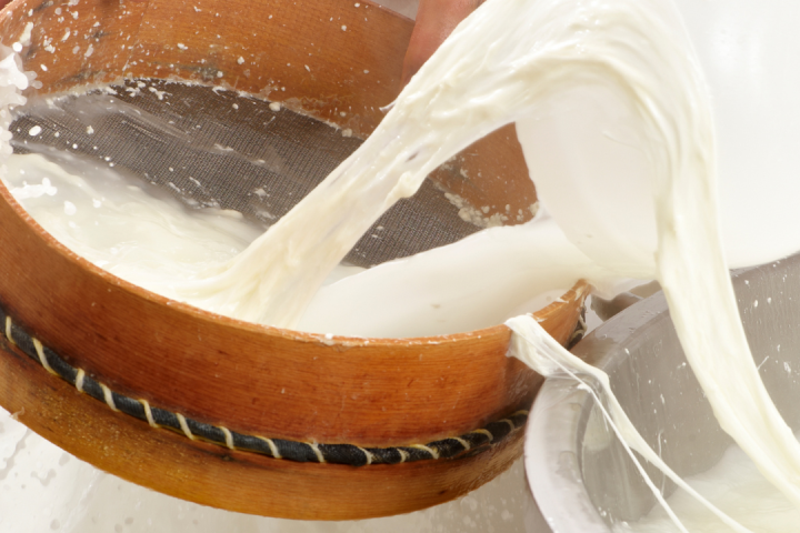 goat cheese making tour