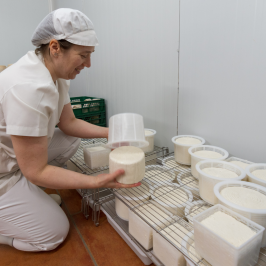 goat cheese making tour