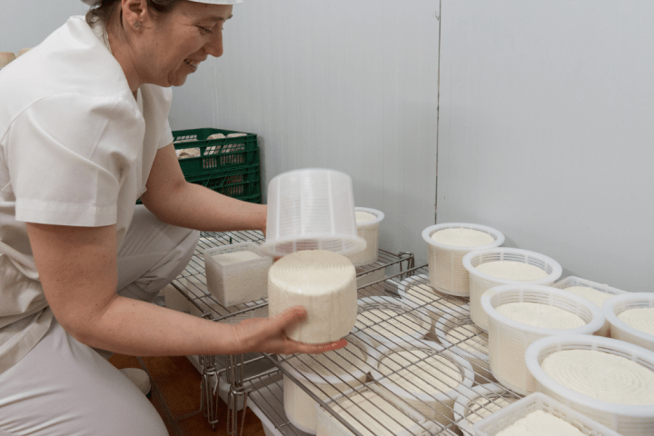 goat cheese making tour