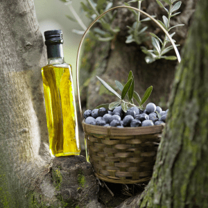 Lisbon olive oil tour