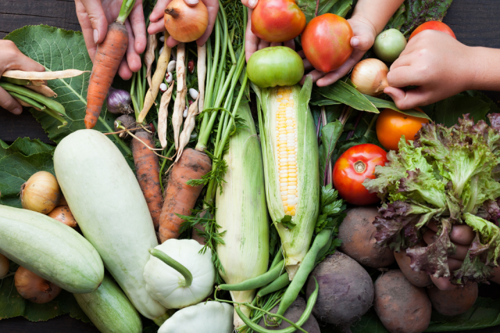 Lisbon farm to table