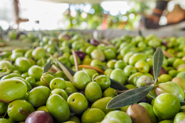 a variety of fruit on display in a store