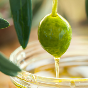 olive oil tour in portugal