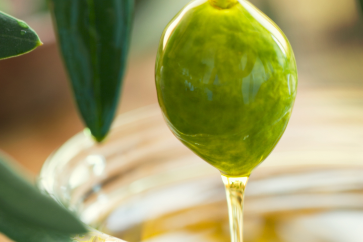 olive oil tour in portugal