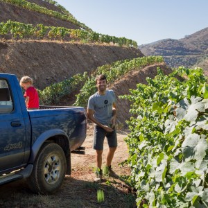 port wine tasting tour