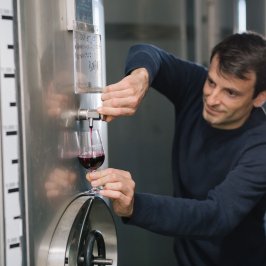 port wine tasting tour