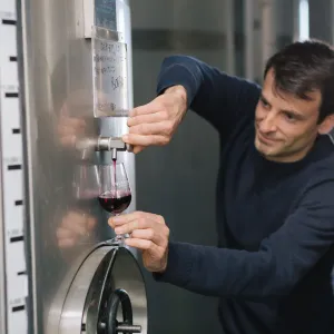 port wine tasting tour