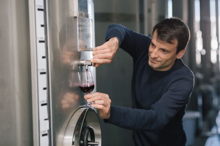 port wine tasting tour