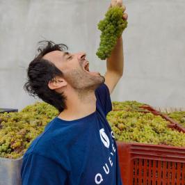 port wine tasting tour