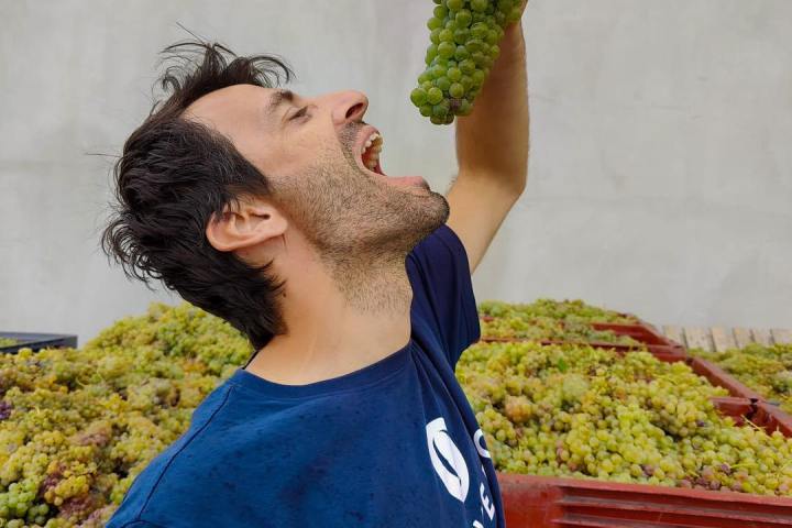 port wine tasting tour