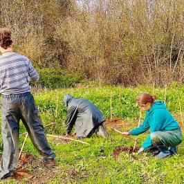 Mediterranean Species Farm Tour