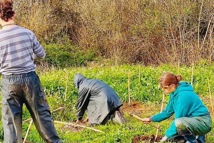 Mediterranean Species Farm Tour