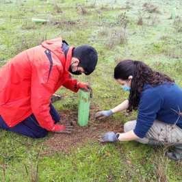 Mediterranean Species Farm Tour